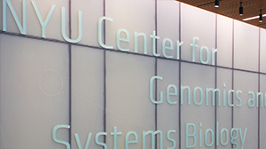 NYU Center for Genomics and Systems Biology